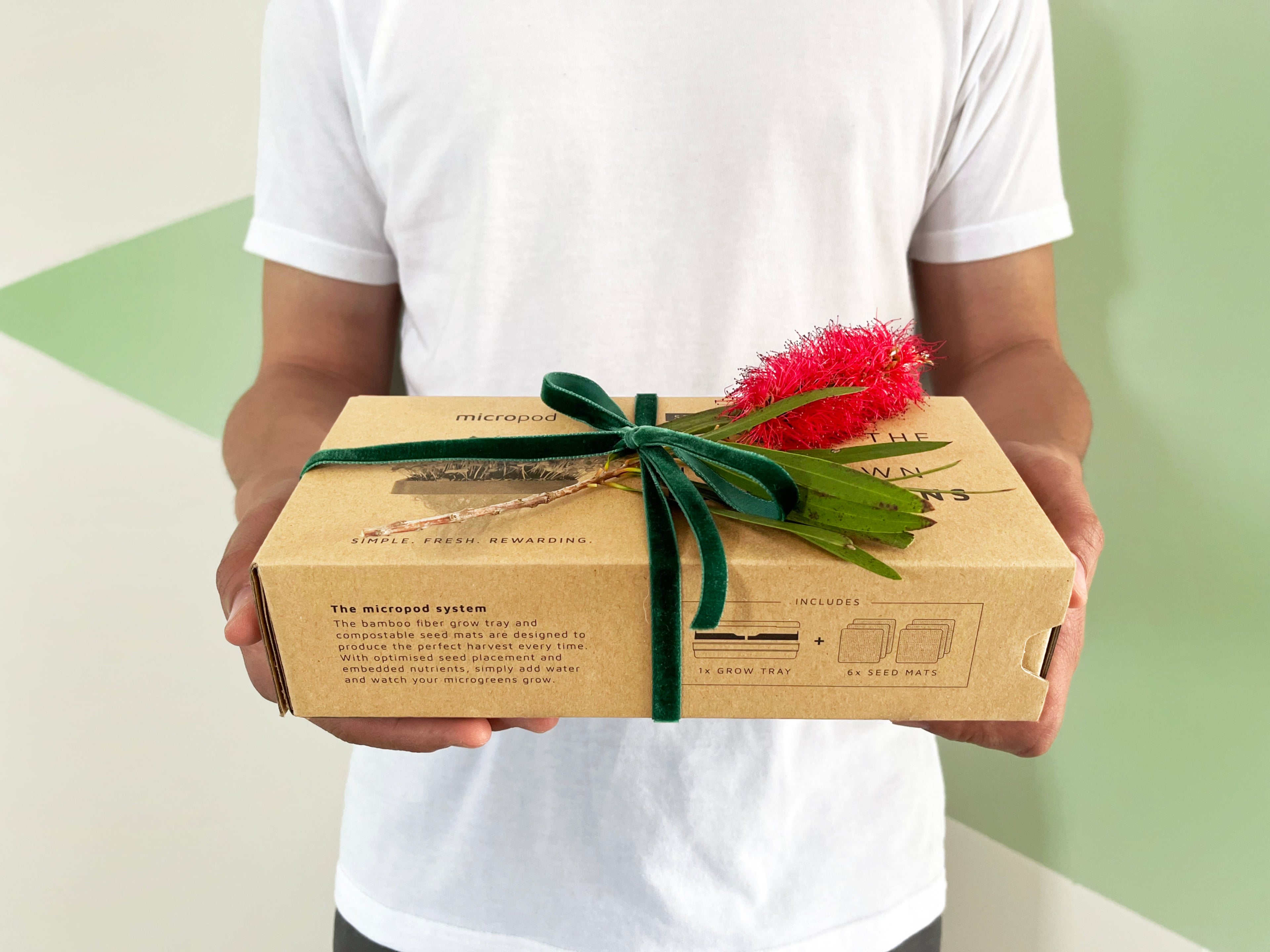 CHRISTMAS BUNDLES 🎁