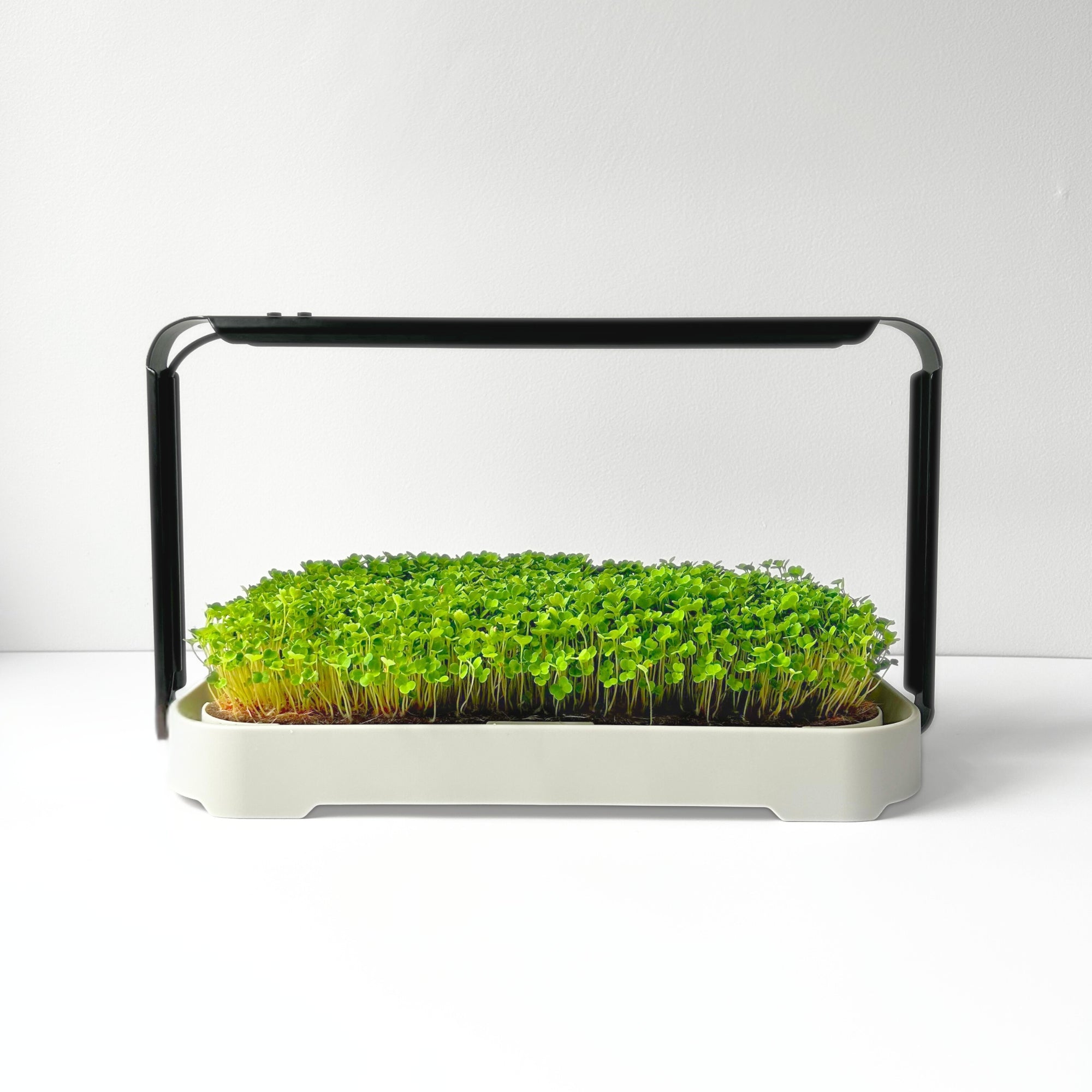 MICRO GARDEN KIT - micropod