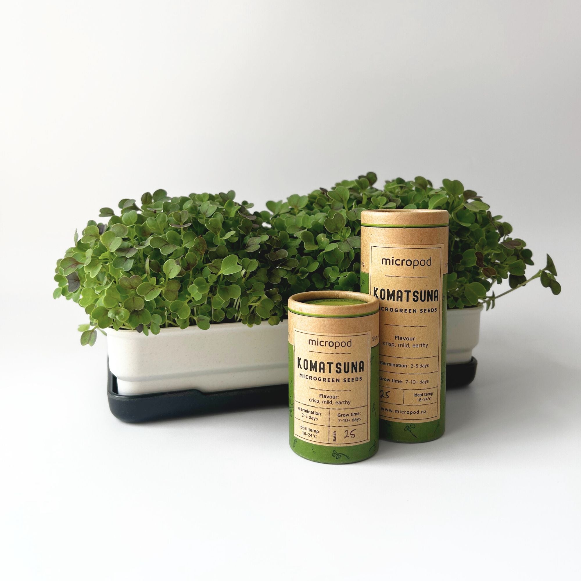 KOMATSUNA MICROGREEN SEEDS - micropod