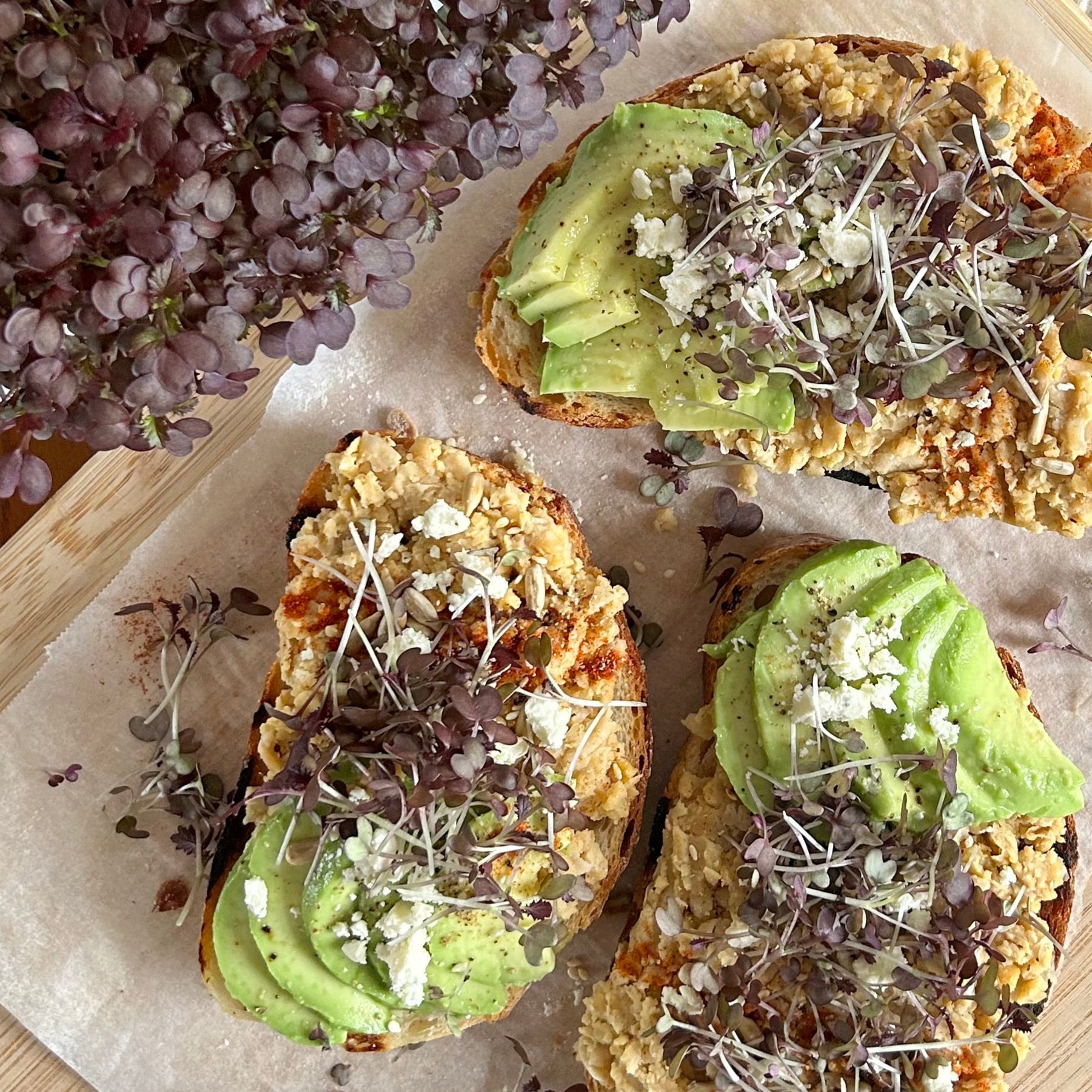 RED KALE MICROGREEN SEEDS - micropod