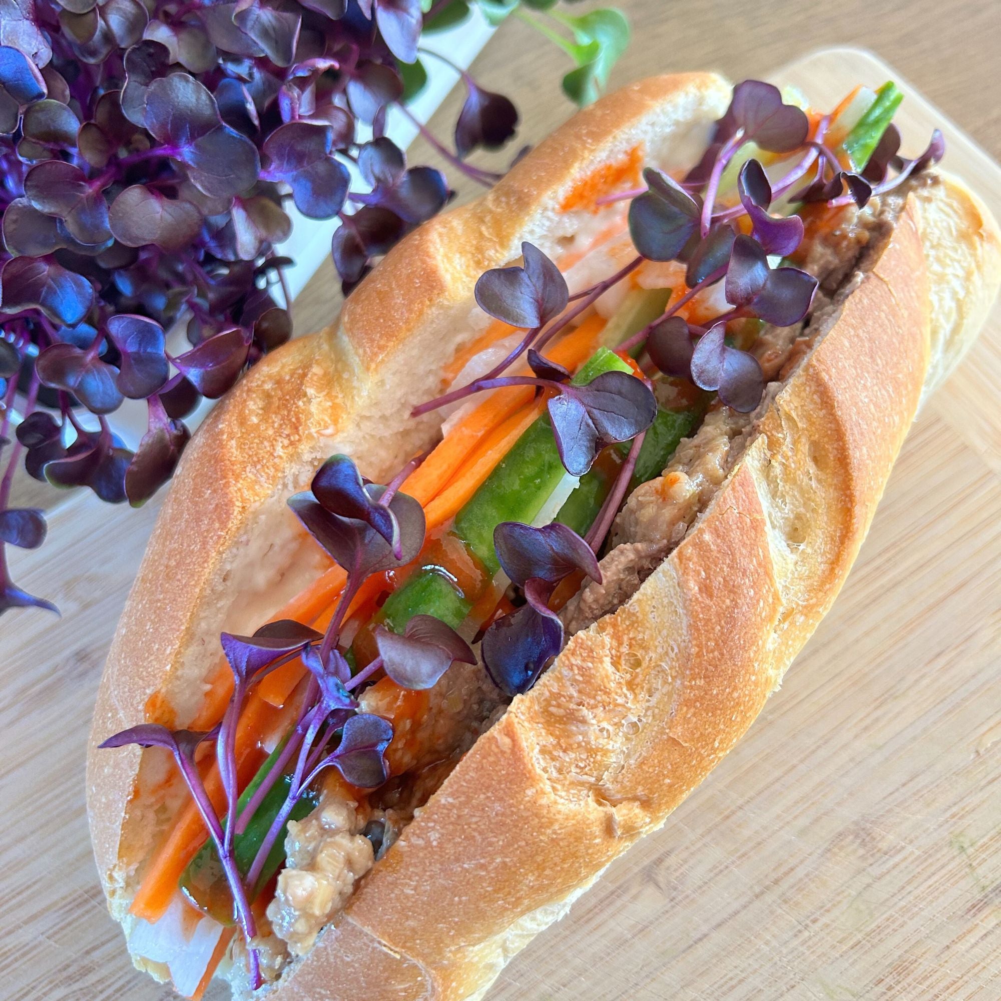 PURPLE RADISH MICROGREEN SEEDS