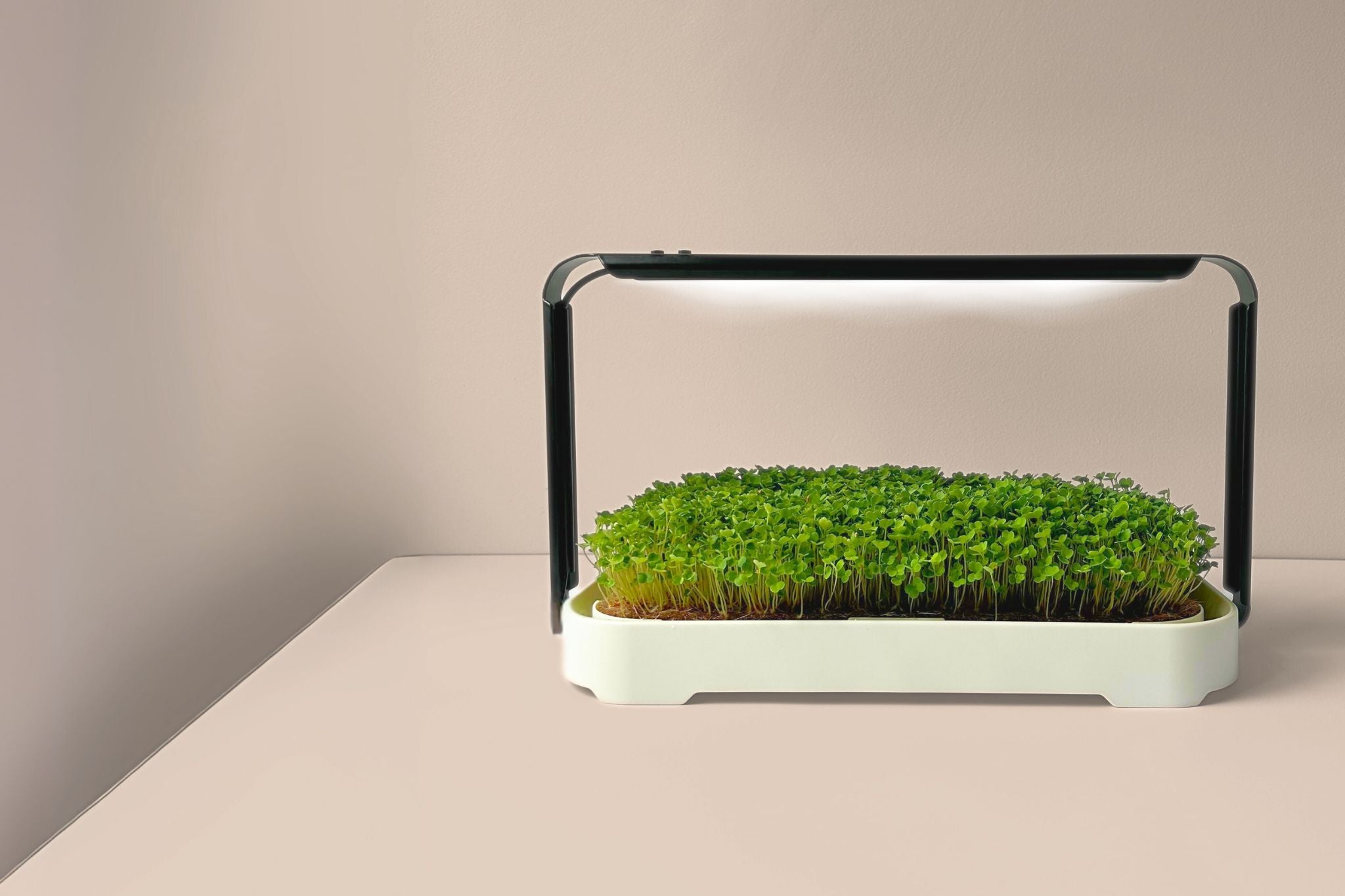 MICRO GARDEN KIT - micropod