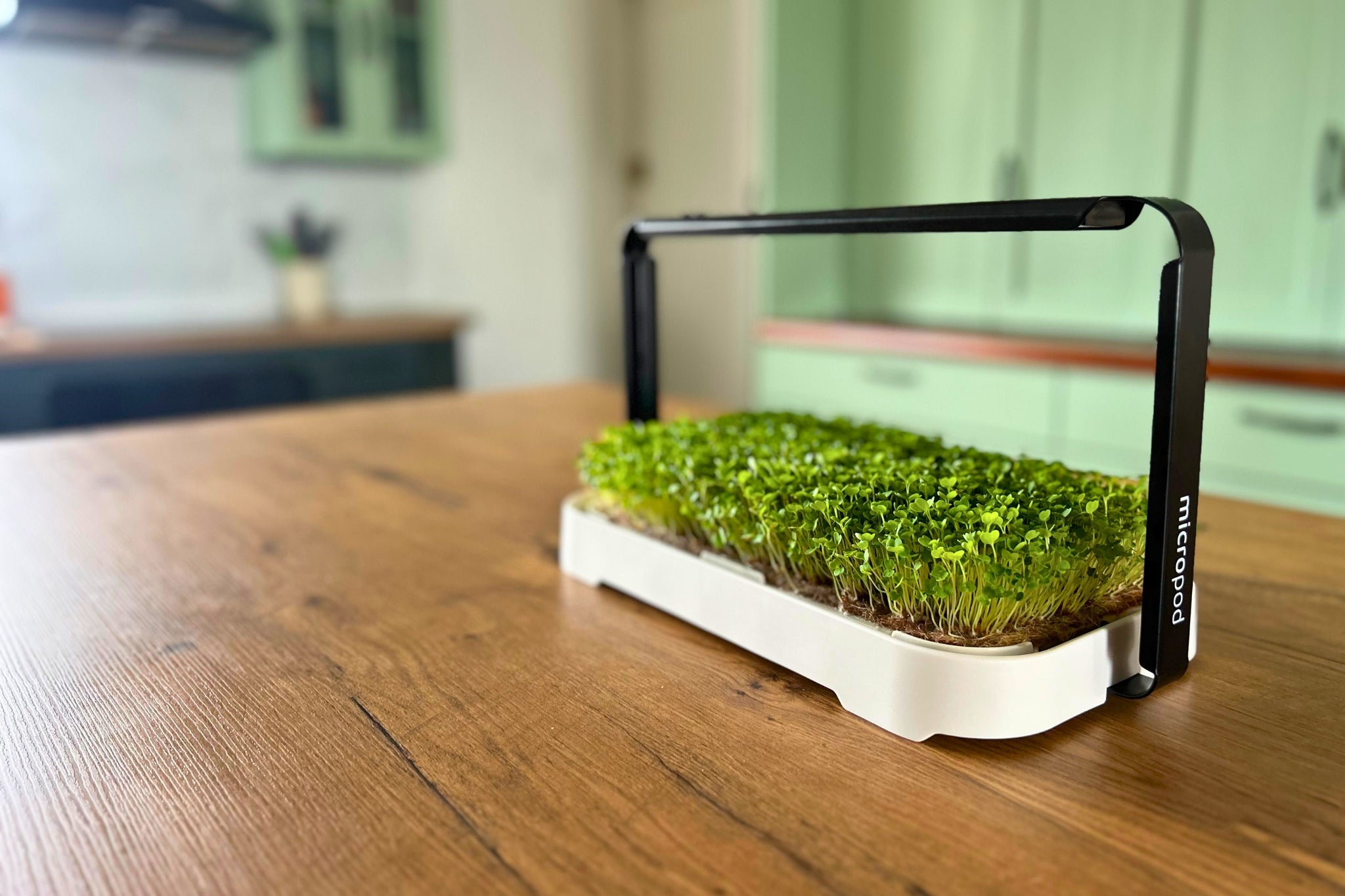 MICRO GARDEN KIT