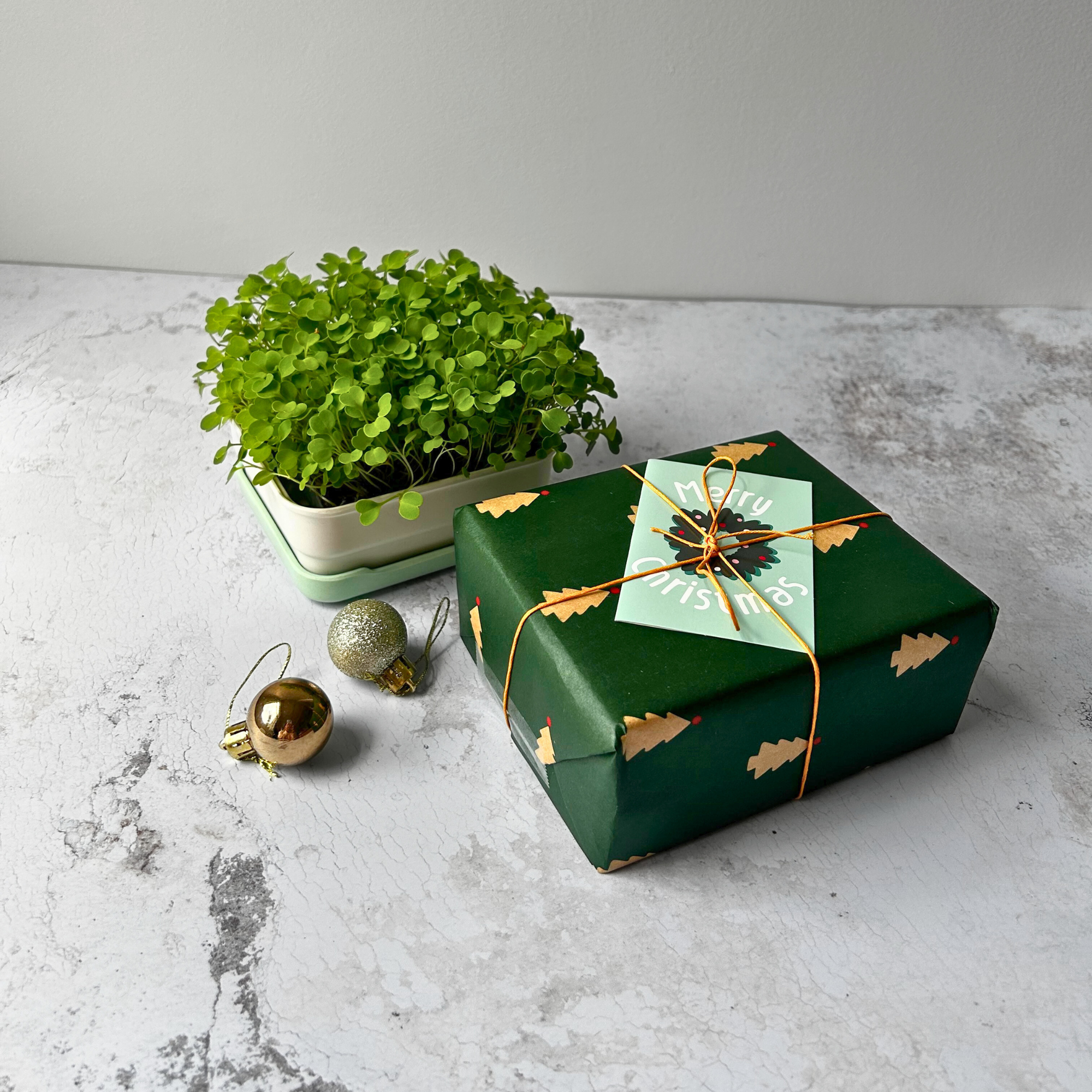 SHARE THE JOY BUNDLE