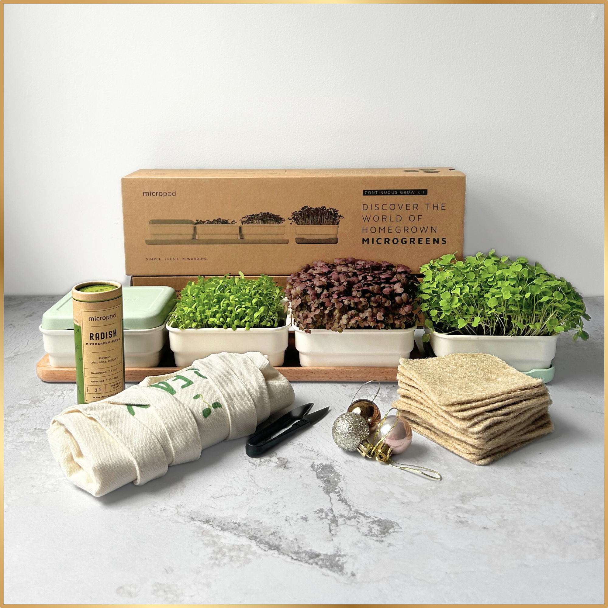 CONTINUOUS CHEER BUNDLE