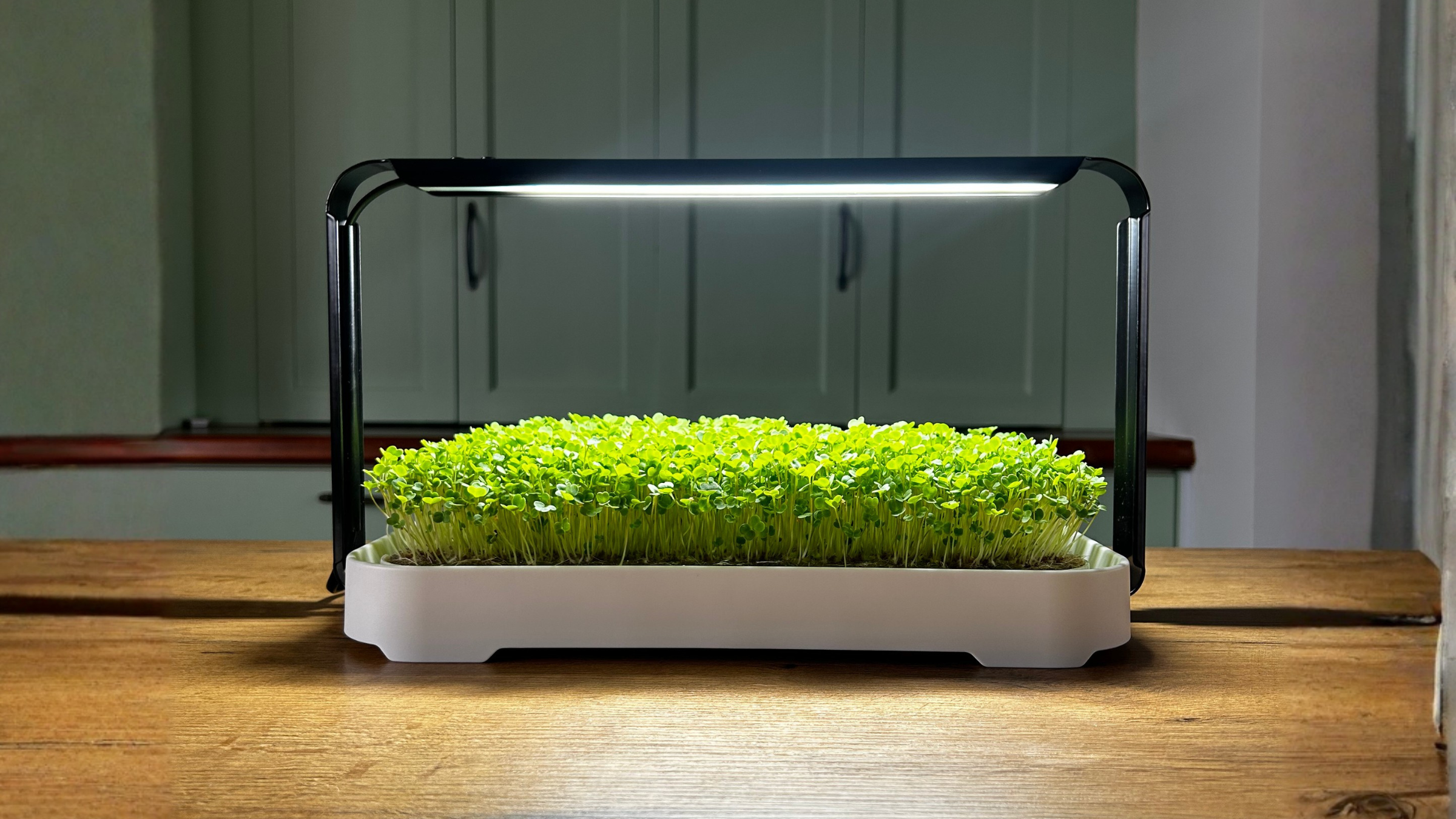 Micro Garden Kit - The Science Behind the Growlight