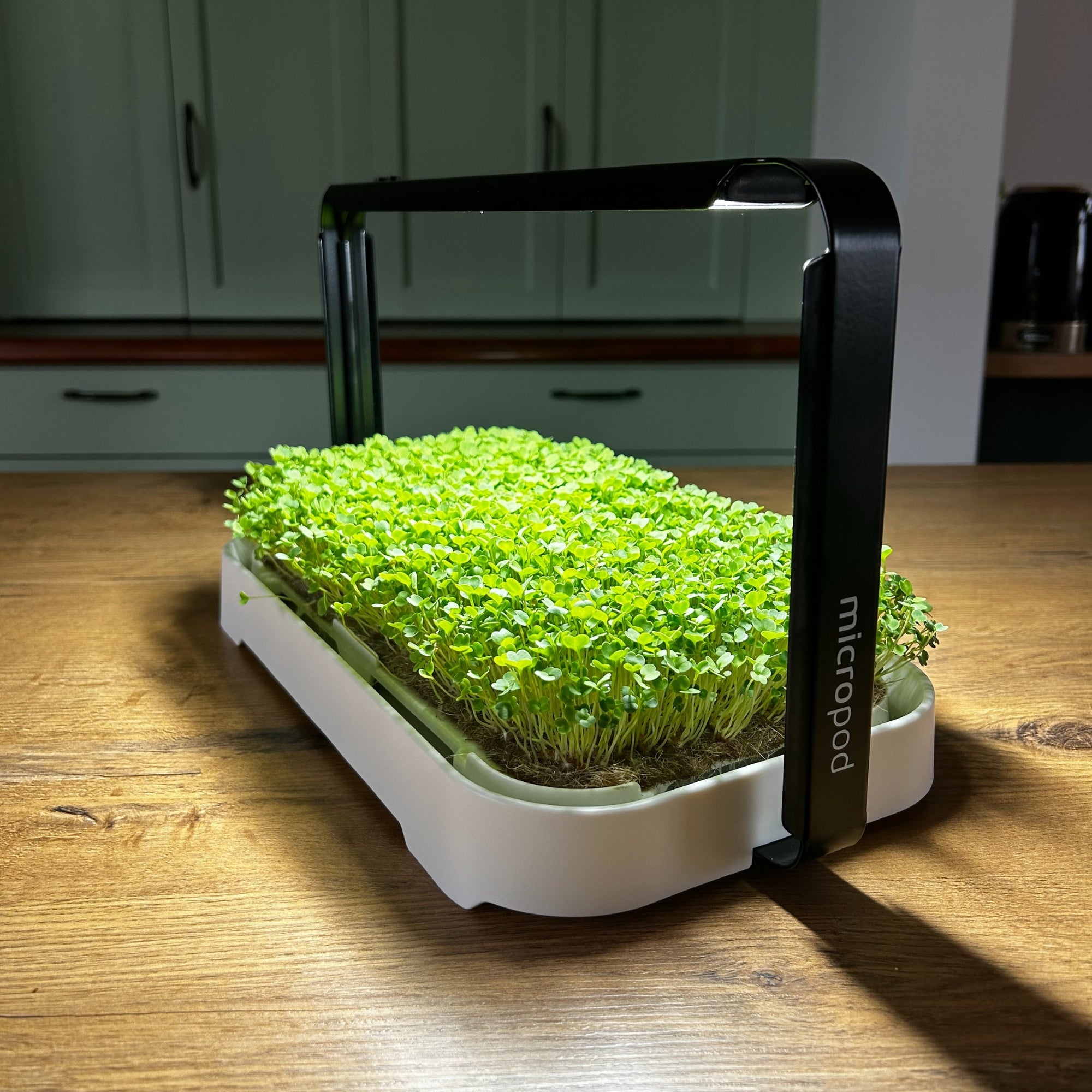 MICRO GARDEN KIT