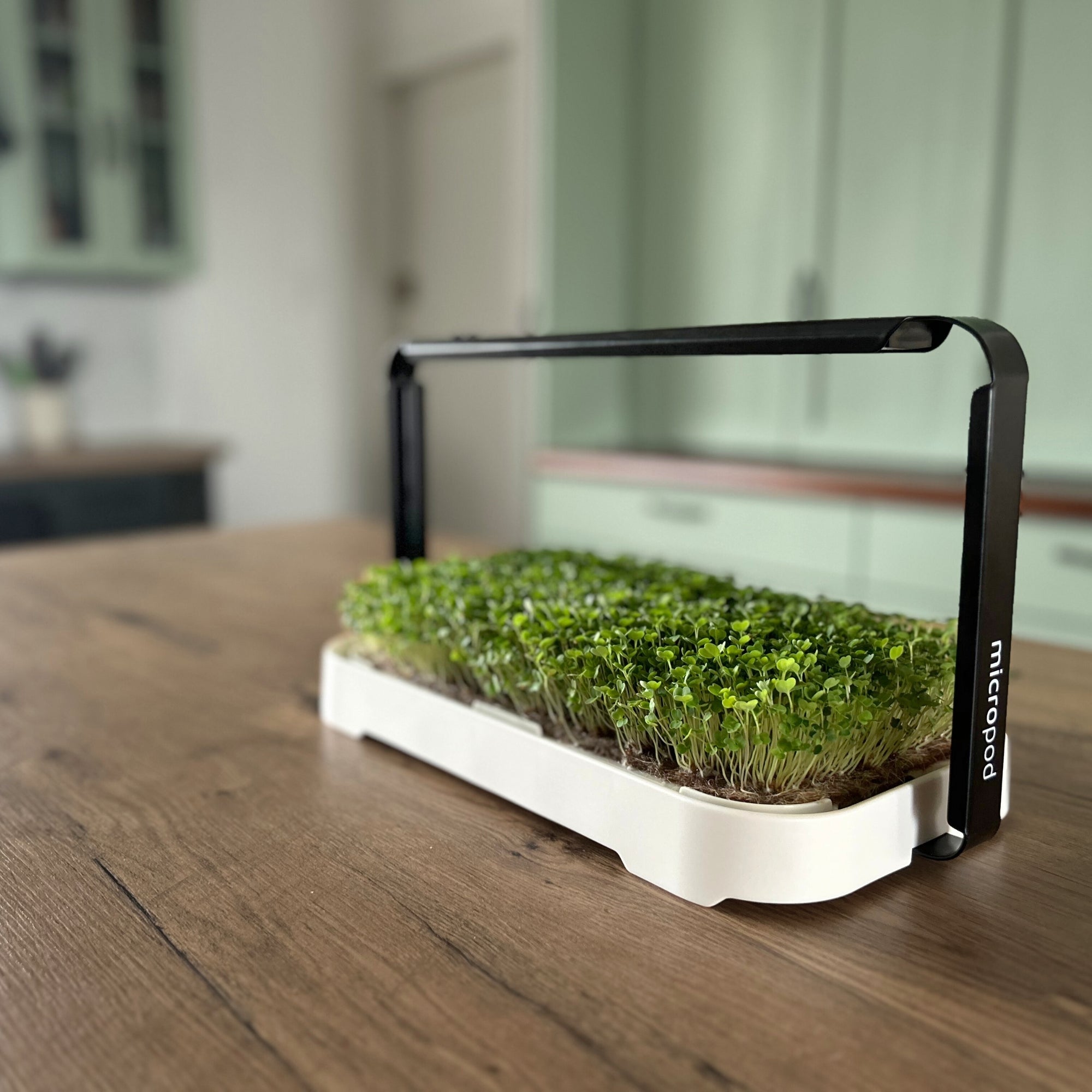 MICRO GARDEN KIT