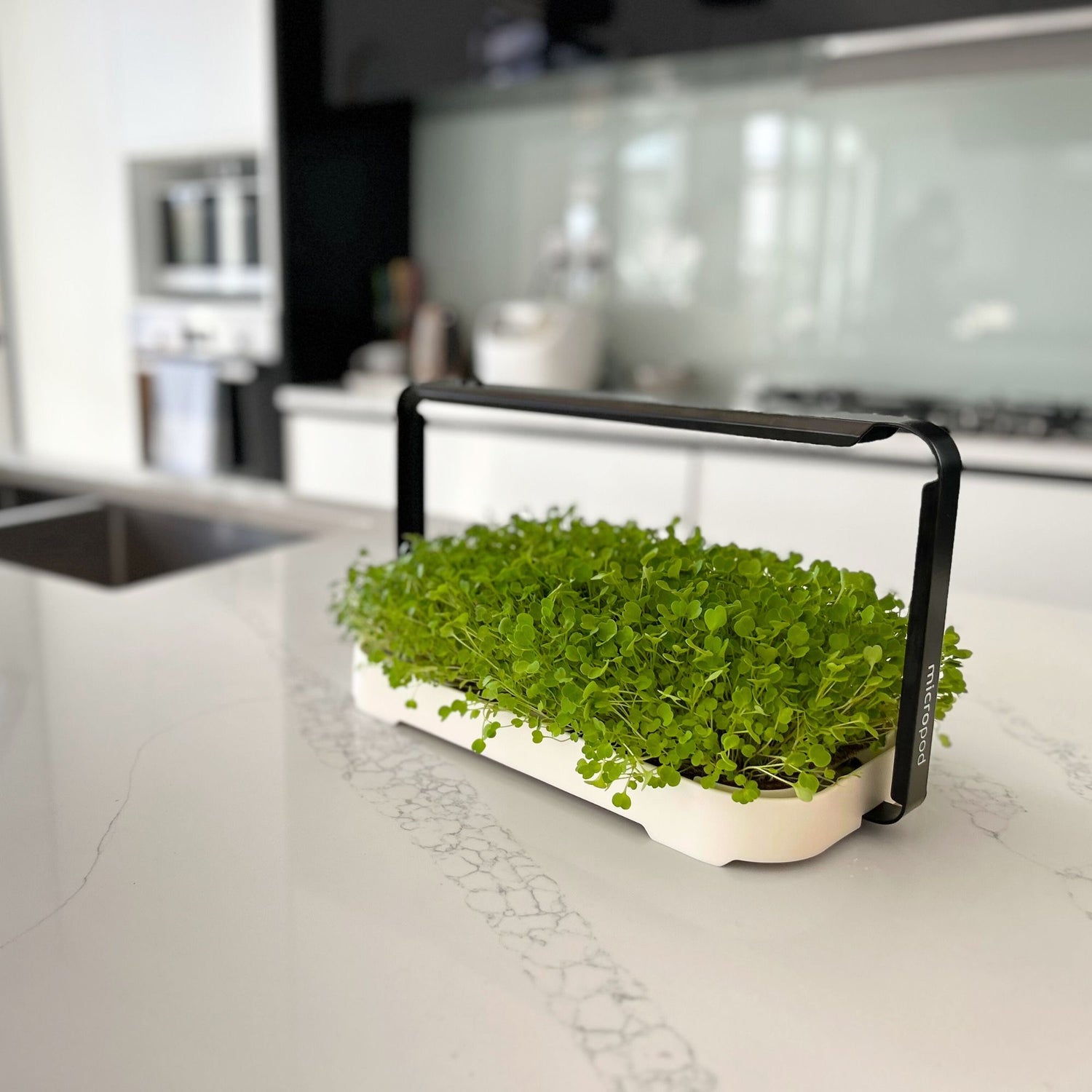 MICRO GARDEN KIT