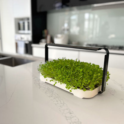 MICRO GARDEN KIT
