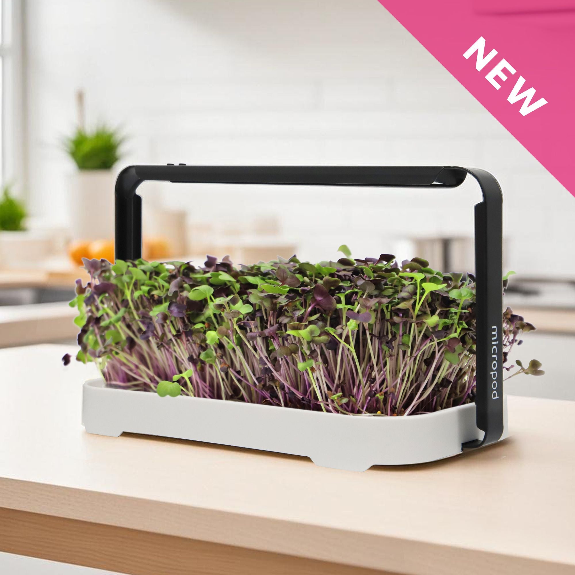 MICRO GARDEN KIT – micropod