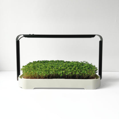 MICRO GARDEN KIT
