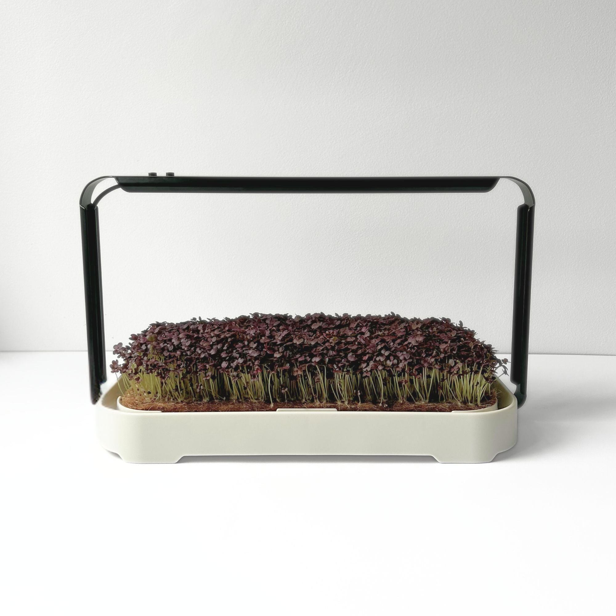 MICRO GARDEN KIT