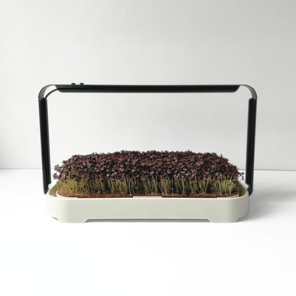 MICRO GARDEN KIT