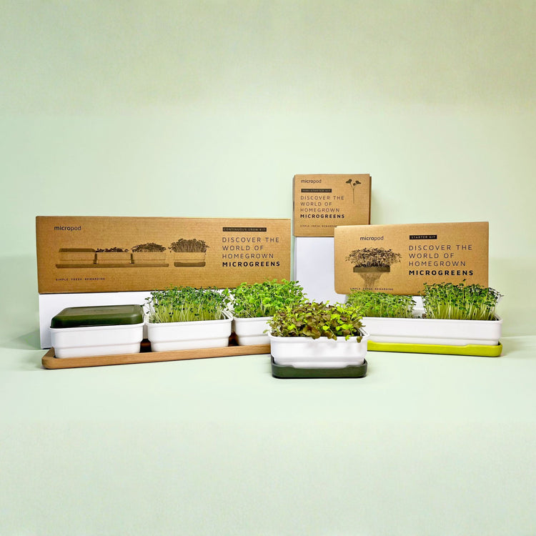 Grow microgreens at home with our soilless kits – micropod