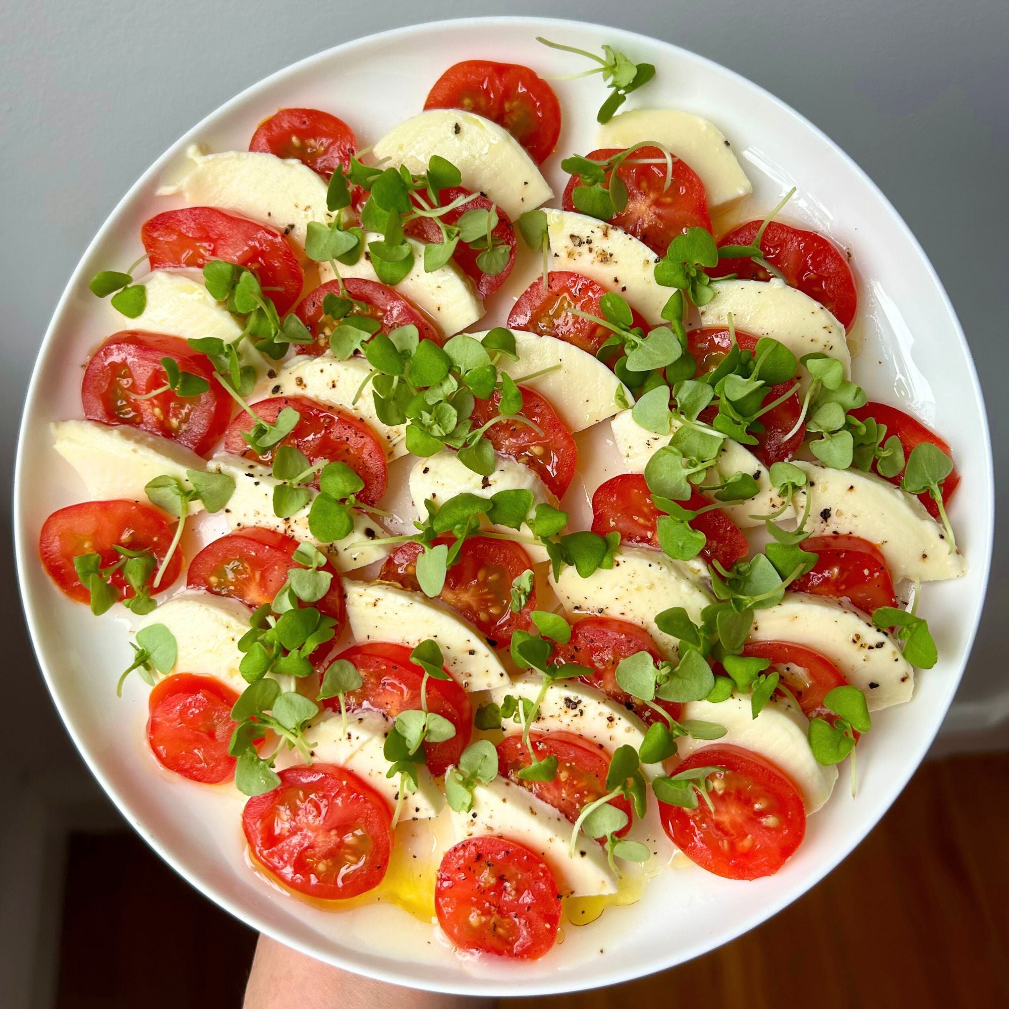 BASIL MICROGREEN SEEDS - micropod