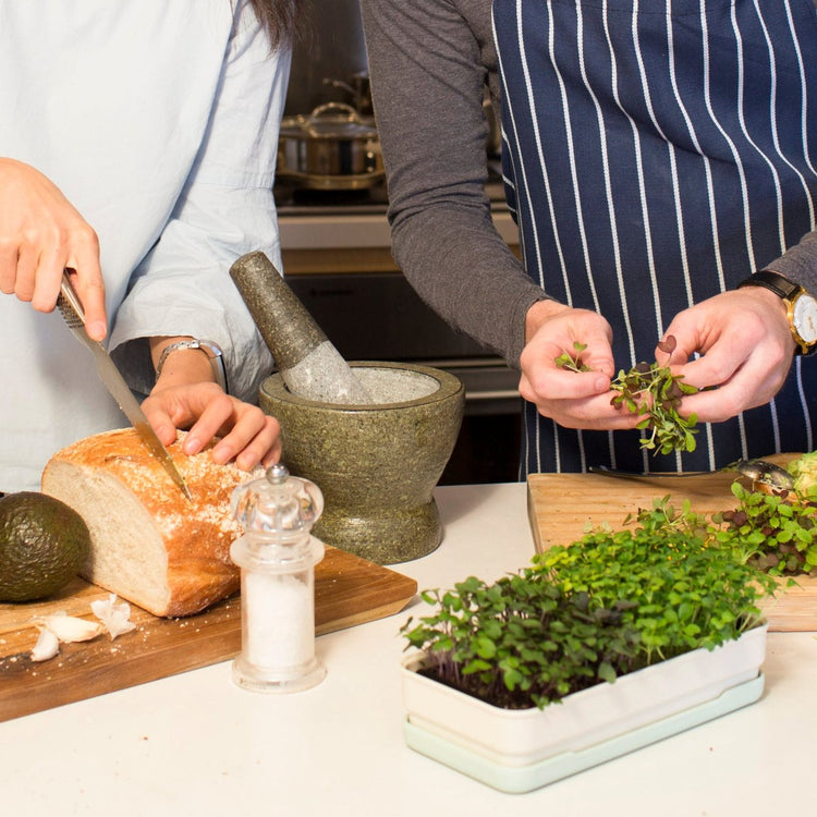 Grow microgreens at home with our soilless kits – micropod